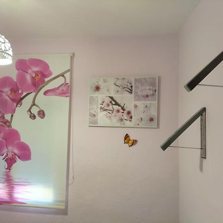 La Casita De Ana. Puerta Valencia. Casco Antiguo Βίλα Κουένκα Εξωτερικό φωτογραφία